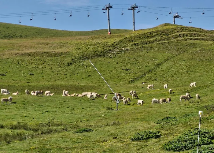 Bel T2, 3 Etoiles, Avec Balcon Bien Expose * Vielle-Aure