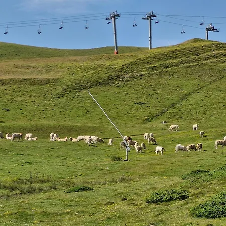 Bel T2, 3 Etoiles, Avec Balcon Bien Expose * Vielle-Aure